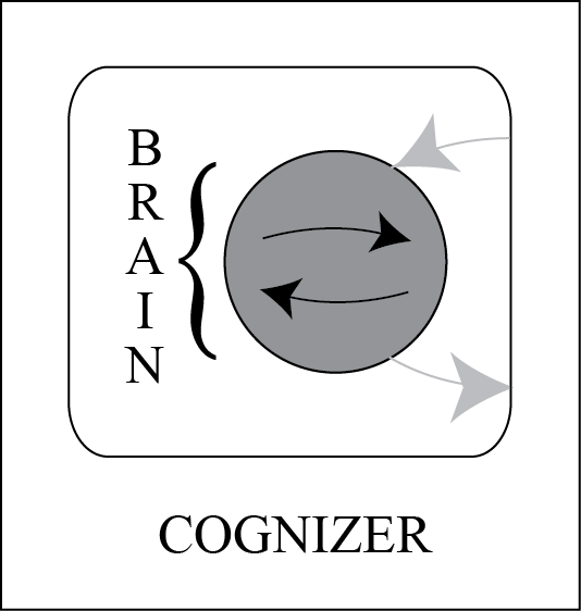 Cognition This diagram profiles cognition as two head-to-tail arrows within the circle that is the cognizer's brain.